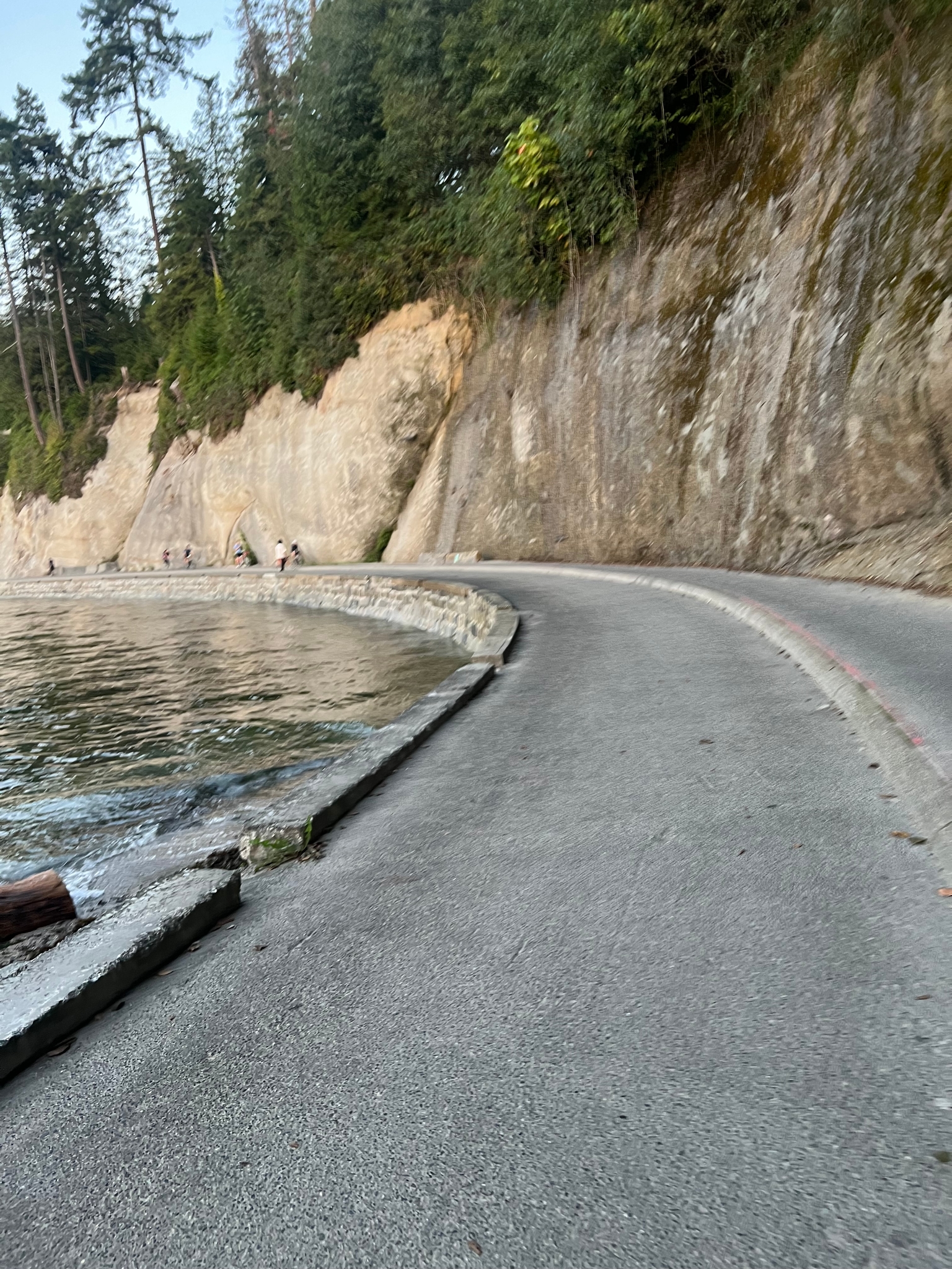 The Vancouver Seawall